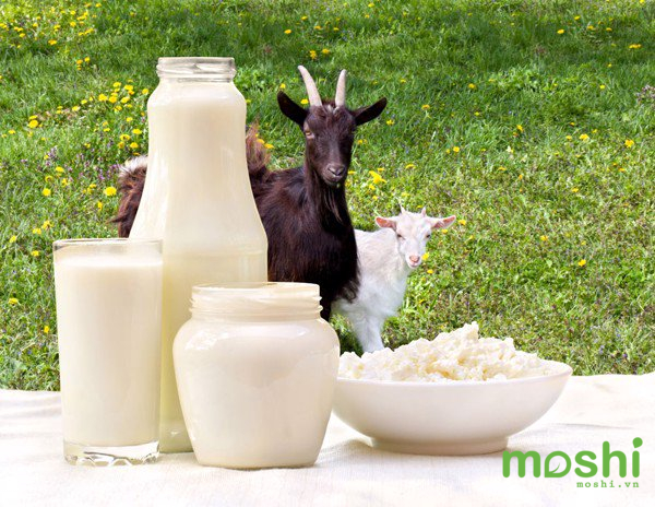 5-loại-sữa-công-thức-tốt-cho-trẻ-sơ-sinh